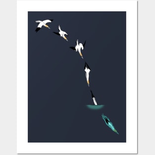 Northern Gannet Posters and Art